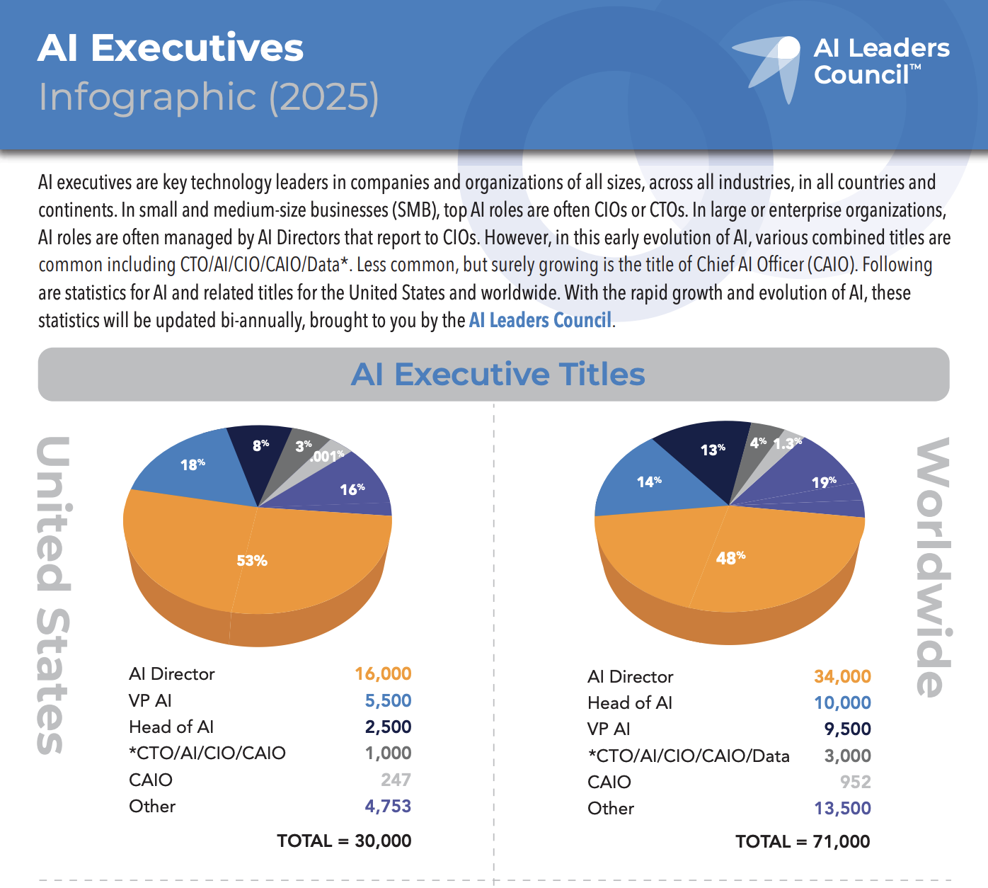 AI Executives Infographic